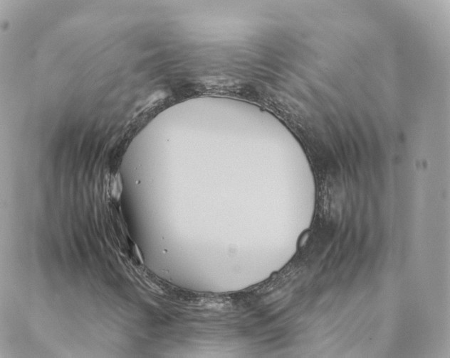 X0000088091346200706011553