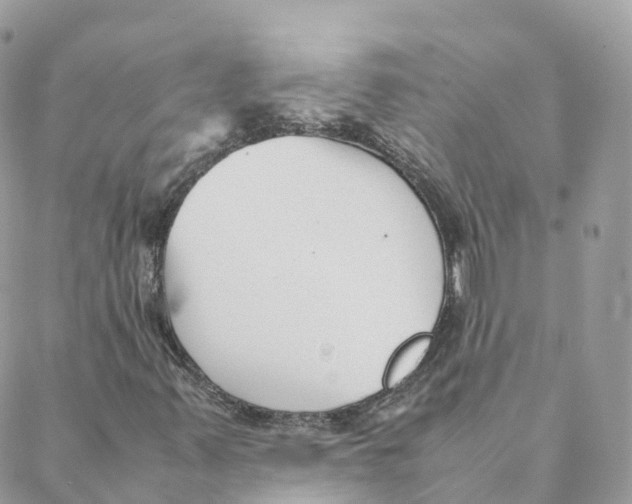 X0000088091347200706011553