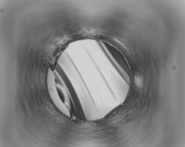 X0000088091348200706011553