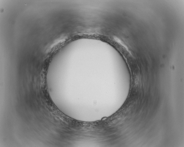 X0000088091350200706011553