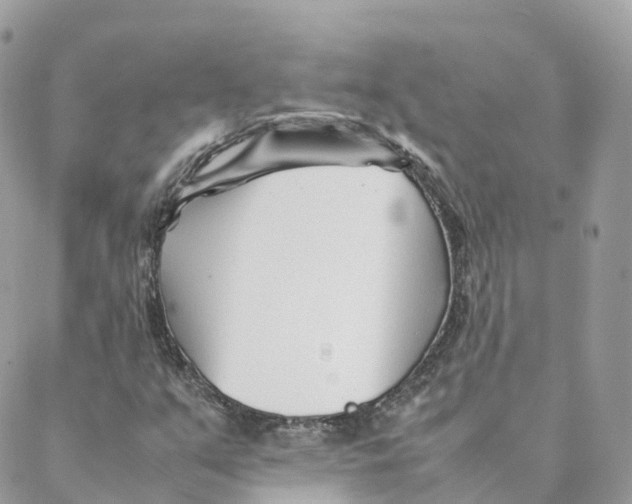 X0000088091351200706011553