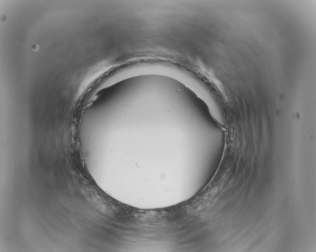 X0000088091352200706011553