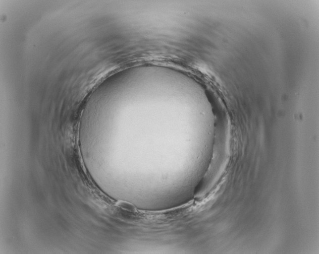 X0000088091353200706011553