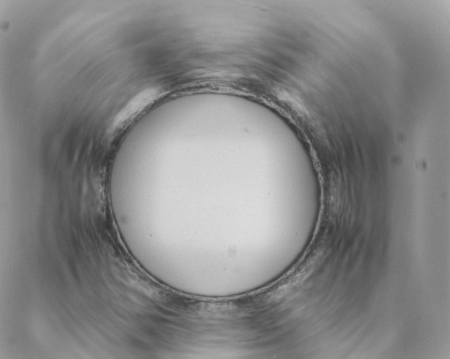 X0000088091354200706011553