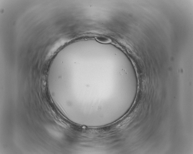 X0000088091355200706011553