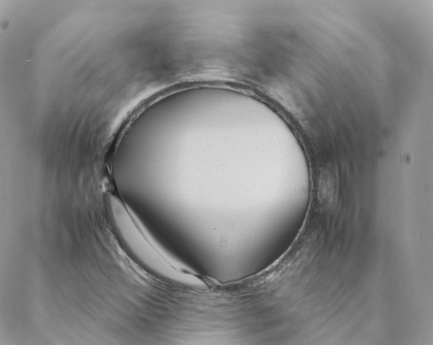 X0000088091356200706011553