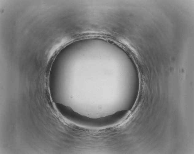 X0000088091357200706011553