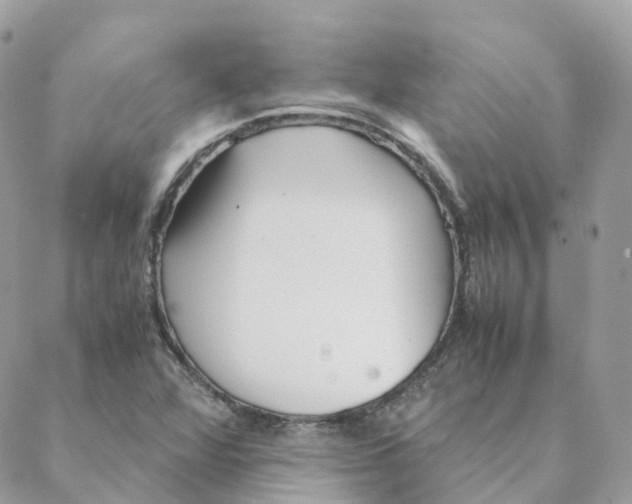 X0000088091360200706011553