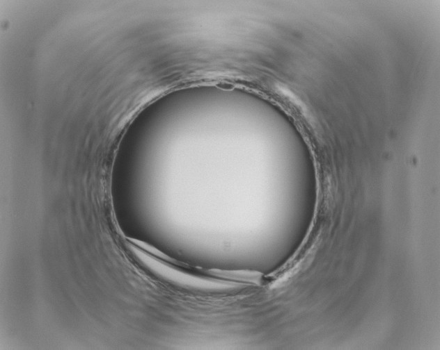 X0000088091361200706011553