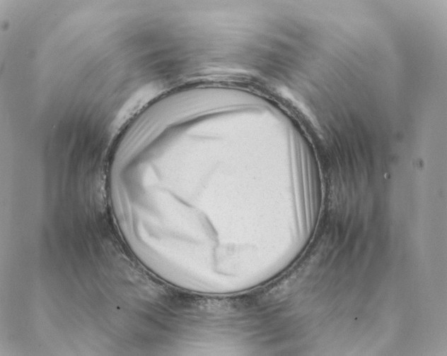 X0000088091362200706011553