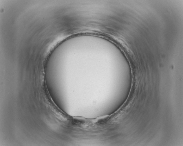 X0000088091363200706011553