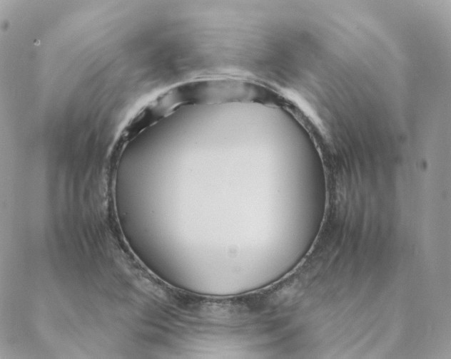 X0000088091364200706011553