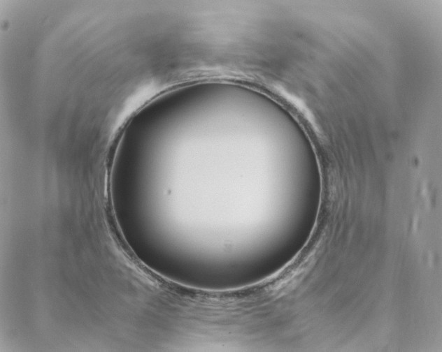 X0000088091365200706011553