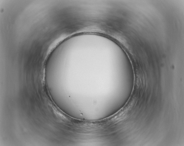 X0000088091366200706011553