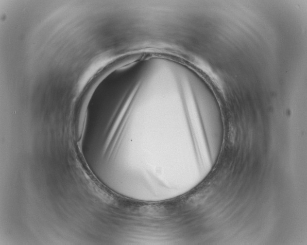 X0000088091368200706011553