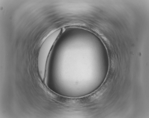 X0000088091369200706011553