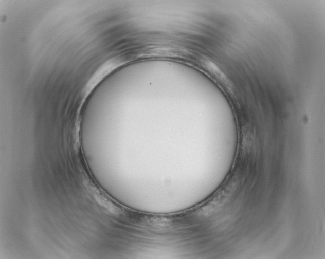 X0000088091370200706011553