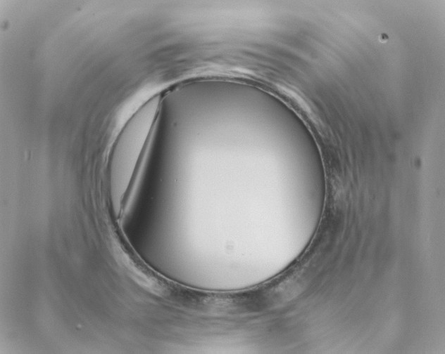 X0000088091371200706011553