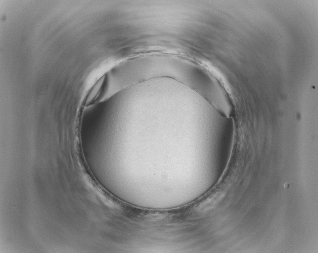 X0000088091373200706011553