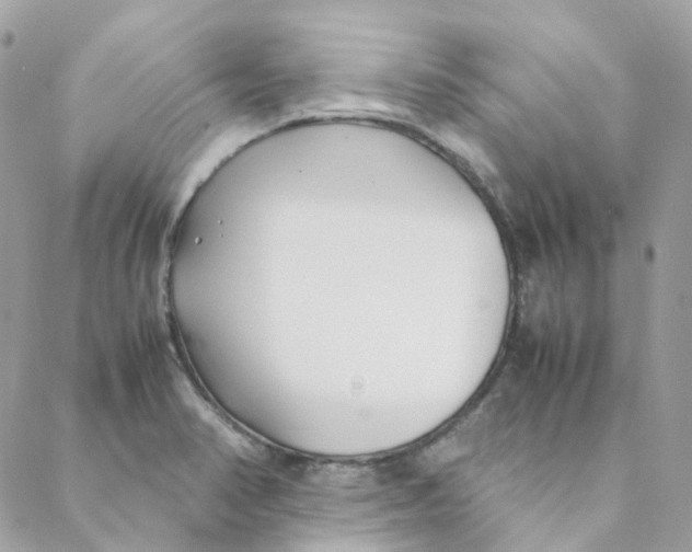 X0000088091374200706011553