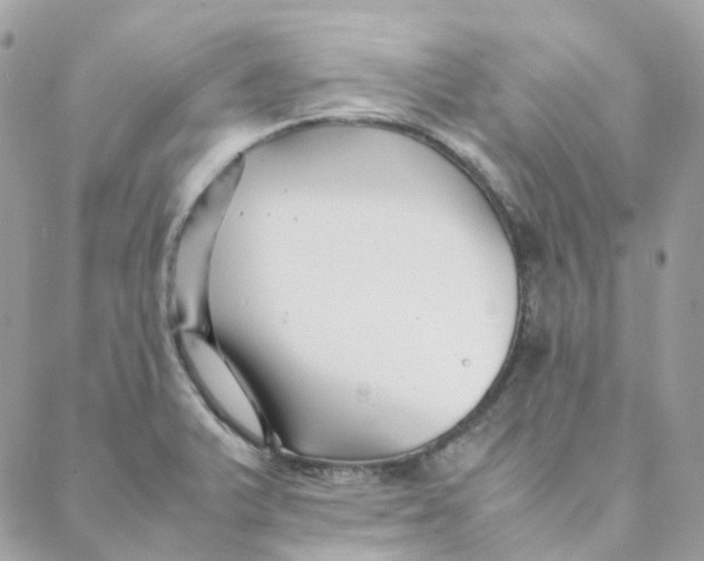 X0000088091375200706011553