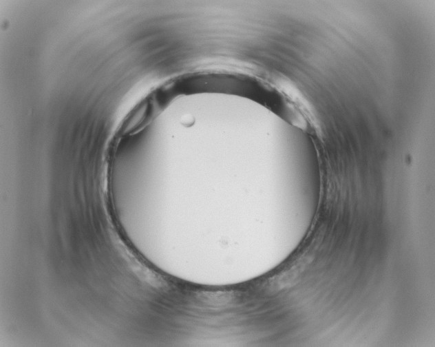 X0000088091376200706011553