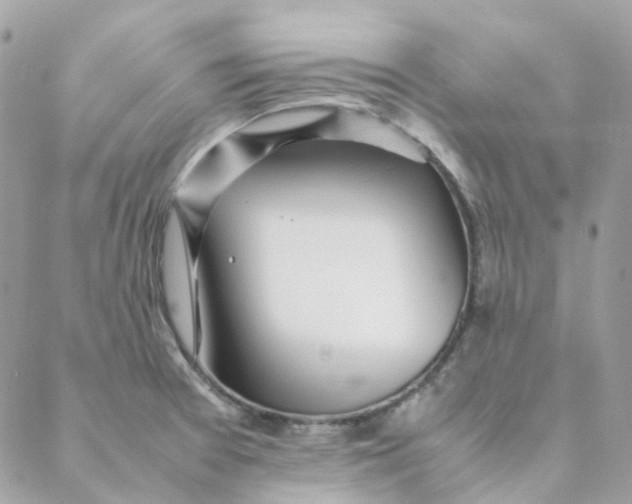 X0000088091377200706011553