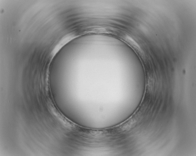 X0000088091378200706011553