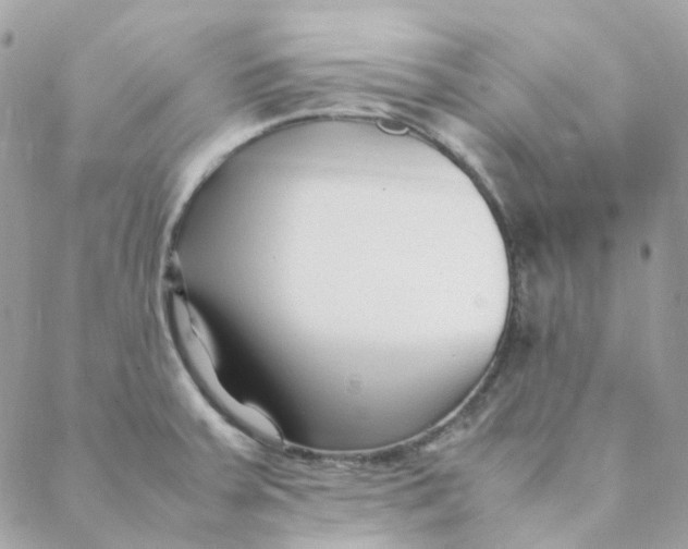 X0000088091379200706011553