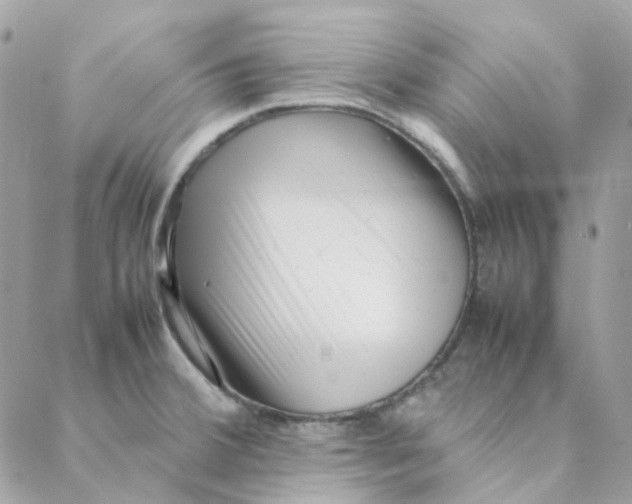 X0000088091380200706011553