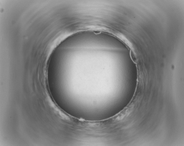 X0000088091381200706011553