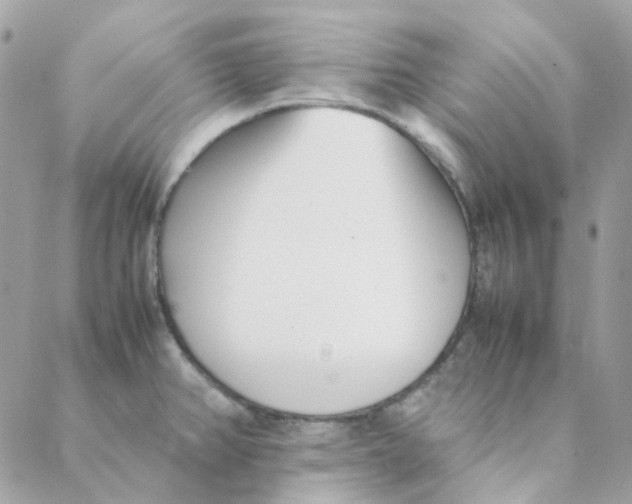 X0000088091382200706011553