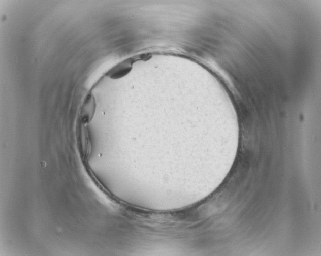 X0000088091383200706011553