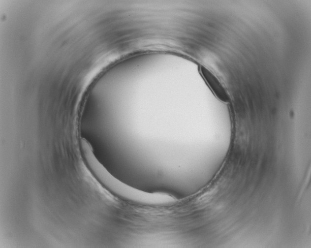 X0000088091384200706011553