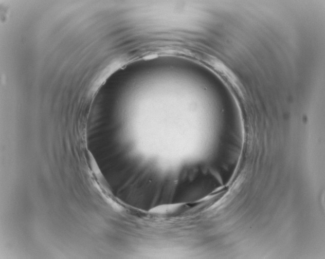 X0000088091385200706011553