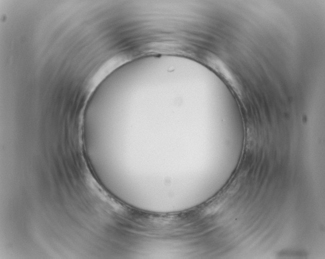 X0000088091386200706011553