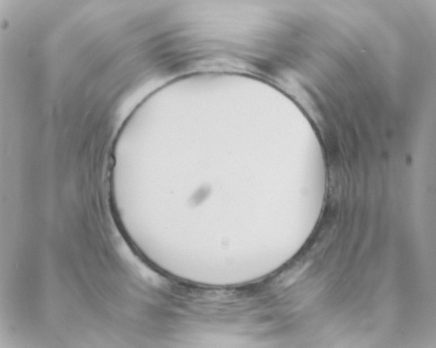 X0000088091387200706011553