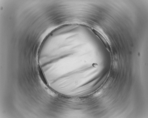 X0000088091388200706011553