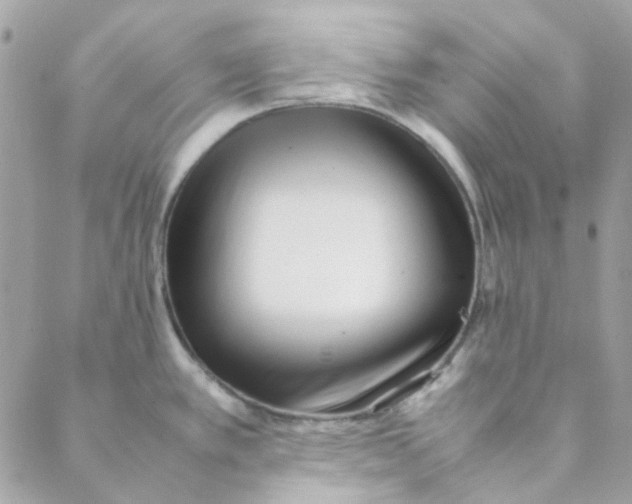 X0000088091389200706011553