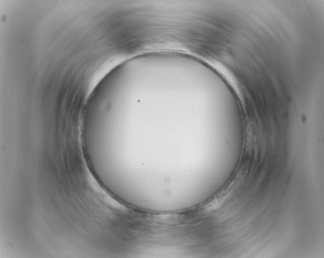 X0000088091390200706011553