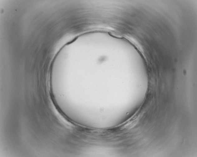 X0000088091391200706011552