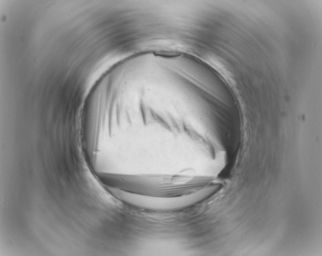 X0000088091392200706011552