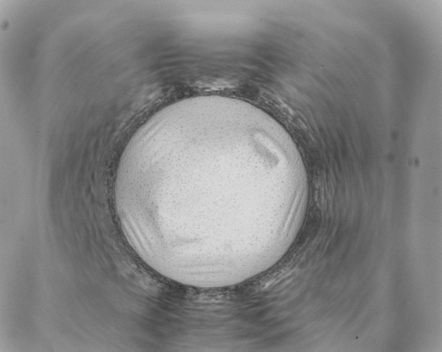 X0000088091393200706011552