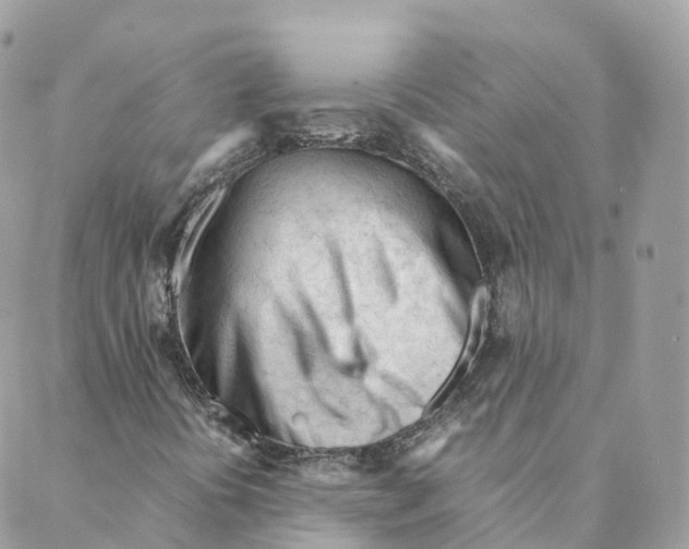 X0000088091394200706011552