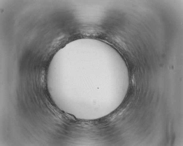 X0000088091396200706011552