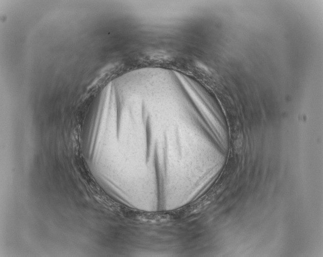 X0000088091397200706011552