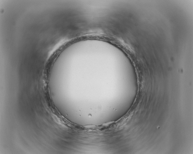 X0000088091400200706011552