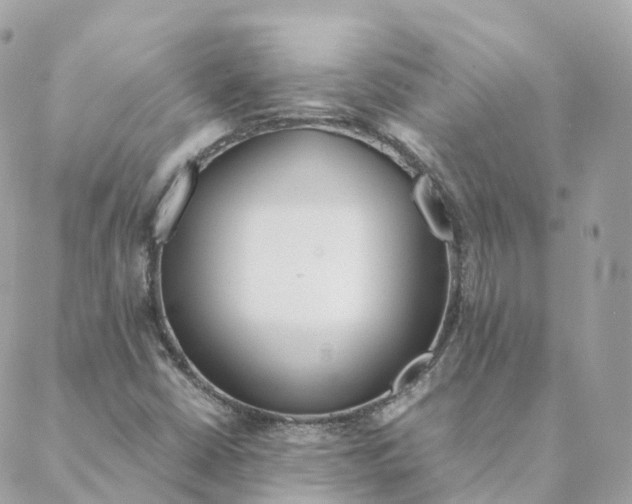 X0000088091402200706011552