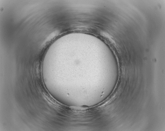 X0000088091403200706011552