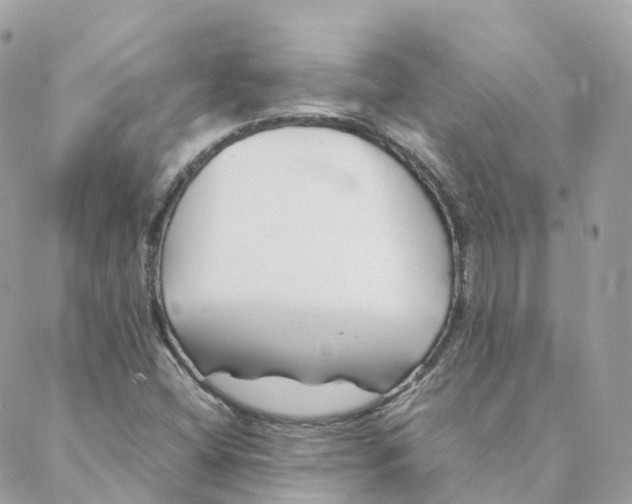 X0000088091404200706011552